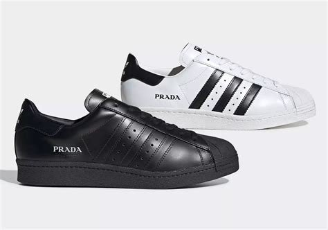 prada superstar adidas.